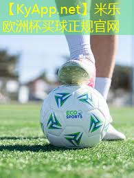 米乐公司:没器材如何练手臂肌肉