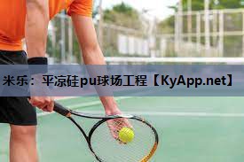 米乐:平凉硅pu球场工程