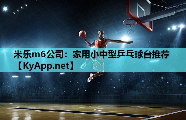 米乐m6公司:家用小中型乒乓球台推荐