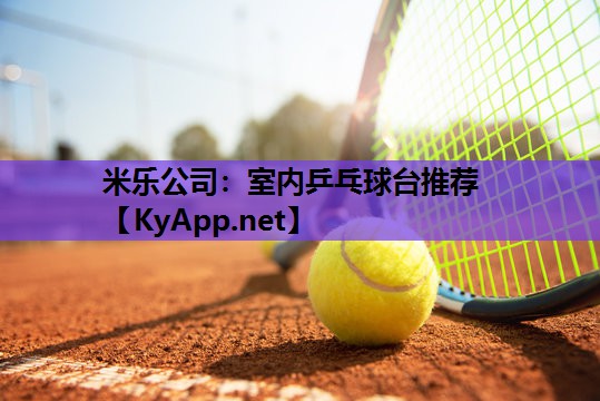 米乐公司:室内乒乓球台推荐