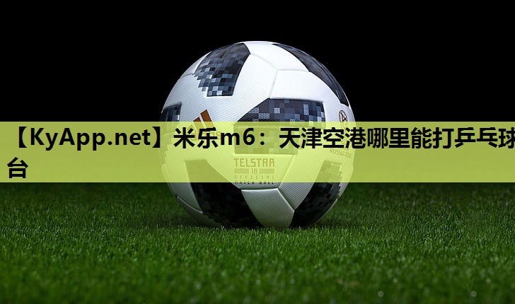 米乐m6:天津空港哪里能打乒乓球台