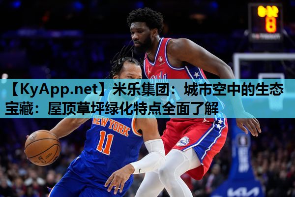 米乐集团:城市空中的生态宝藏:屋顶草坪绿化特点全面了解
