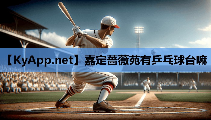 嘉定蔷薇苑有乒乓球台嘛