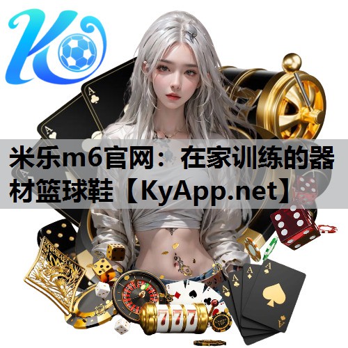米乐m6官网:在家训练的器材篮球鞋