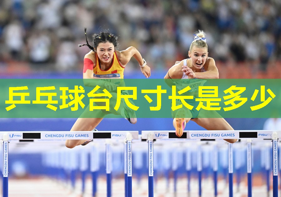 乒乓球台尺寸长是多少