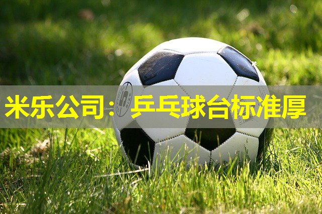 米乐公司:乒乓球台标准厚