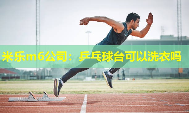 米乐m6公司:乒乓球台可以洗衣吗