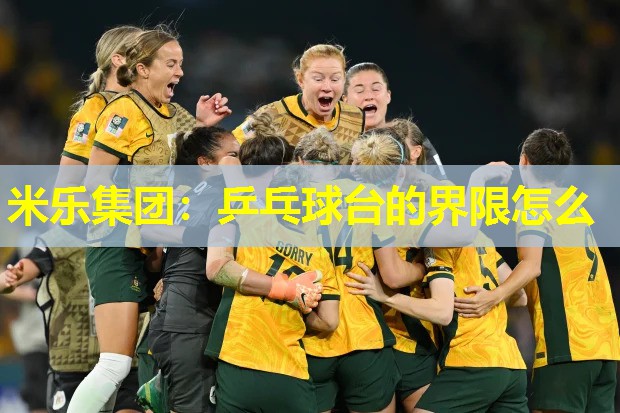 米乐集团:乒乓球台的界限怎么