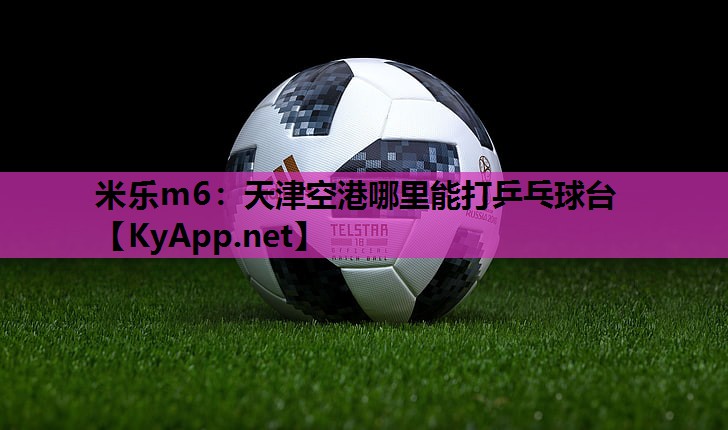 天津空港哪里能打乒乓球台