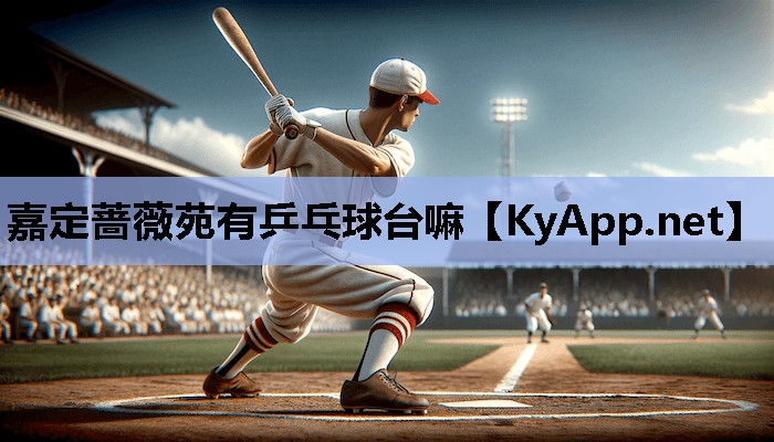 嘉定蔷薇苑有乒乓球台嘛