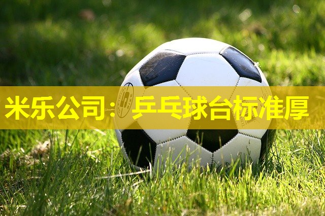 乒乓球台标准厚