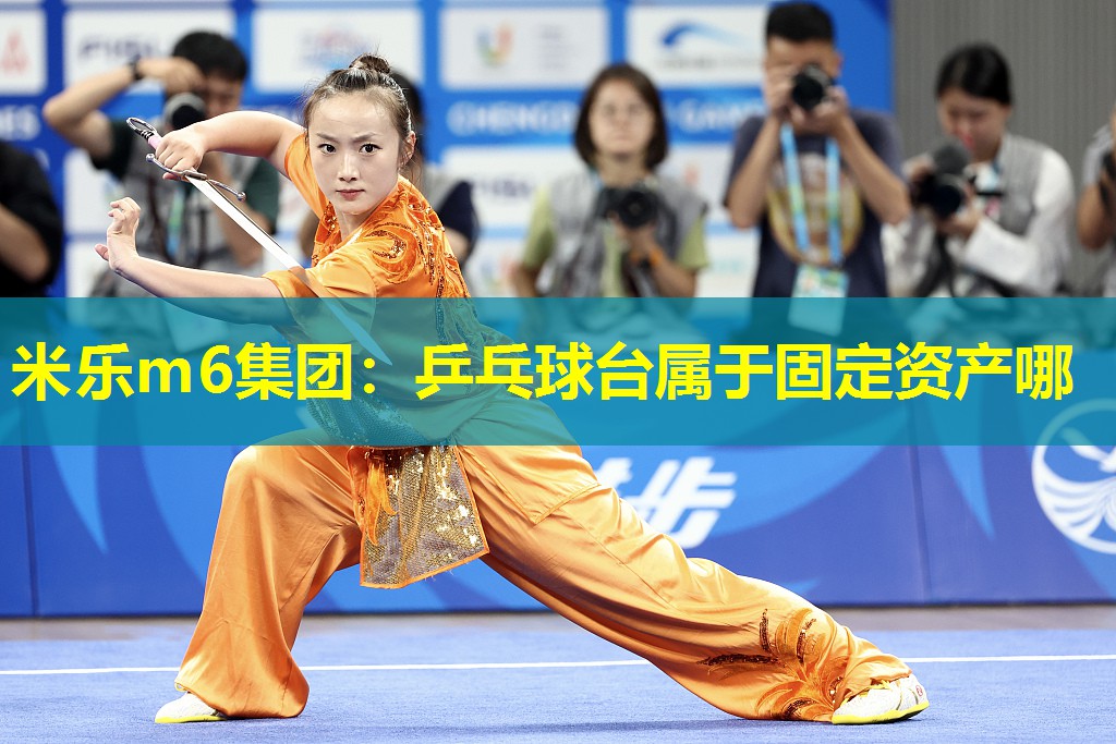 乒乓球台属于固定资产哪
