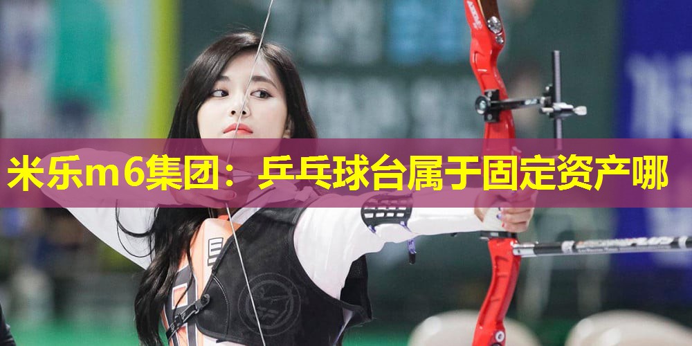 乒乓球台属于固定资产哪