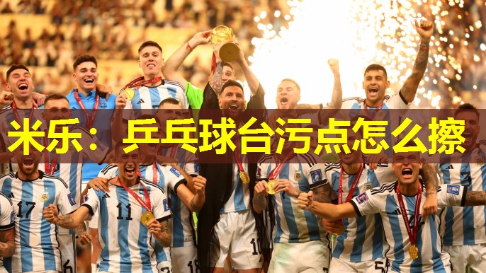 乒乓球台污点怎么擦